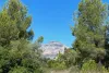 IMG 7105